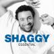 Shaggy - Boombastic (Sting Remix)