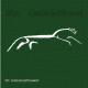 XTC - Senses Working Overtime (Remastered 2001)