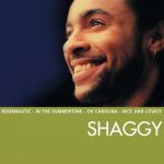 album image Boombastic (Sting RMX) (Short Edit) Essential