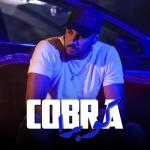 album image Cobra Cobra