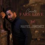 album image L'amour Fake Love