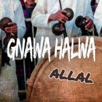 album image Allal Allal