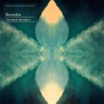 album image Cirrus by bonobo The North Borders