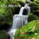Celtic Meditation Music Specialists - Nursey Rhymes Songs and Celtic Harp Music for Sleep