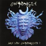 poster Divine Moments of Truth Are You Shpongled?