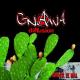 Gnawa Diffusion - Ana barrani
