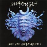 album image Divine Moments of Truth Are You Shpongled?