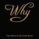 Why - I Could Be
