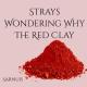 Sarnuis - Strays Wondering Why the Red Clay