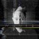 Vald - Bonjour []