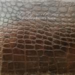 album image Smoothed Brown Noise, Pt. 13 Study with Me: Smoothed Brown Noise