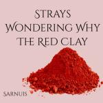 album image Strays Wondering Why the Red Clay Strays Wondering Why the Red Clay