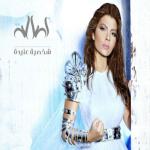 album image Asasy Shakhseya Anida