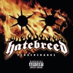 album image I Will Be Heard Perseverance (Explicit Version)