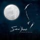 Panet.co.il_Sami-Youssef - Without-You