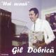 Gil Dobrică - Hai, Acasă