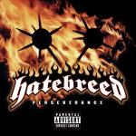 poster I Will Be Heard Perseverance (Explicit Version)