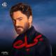 Tamer Hosny - Enta Ekhtyar (From Bhabak Movie)