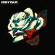 Grey Daze - B12