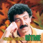 album image Bir Kadın Tanıdım Gitme
