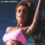 album image Astronaut In The Ocean (Dj Dark & Mentol Remix) Astronaut in the Ocean (Radio Edit)