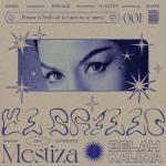 album image El Brillo (Radio Edit) El Brillo