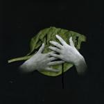 album image Подорожник Подорожник