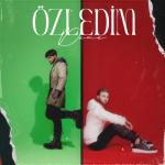 album image Özledim Deme Dünya