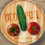 album image Огород (prod. by Atako Beats) Огород (prod. by Atako Beats)