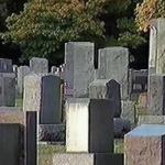 album image MPEG-4 CADAVER