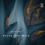 album image Peyda Kon Mara Peyda Kon Mara
