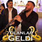 album image Yılanlar Geldi Yılanlar Geldi