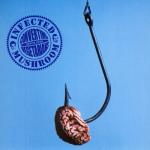 album image I Wish (Skazi Remix) The Zoo Ep
