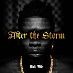 album image Hol It (Prod By Shatta Wale) Hol' It