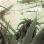 album image Island Awakening