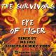 The Survivors - Eye Of Tiger ((Mr. Free Remix))