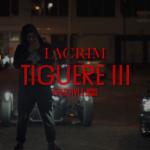 album image Tiguere 3 (Freestyle) Tiguere 3 (Freestyle)