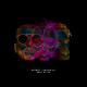 Kyle Watson & ero808 - Shapeshifter (Extended Mix)