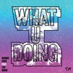 album image What U Doing (Extended Mix) Phreak Storm