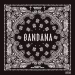 album image Нахуй локдаун сука гет довн [mp3lev.net] BANDANA I