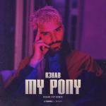 album image My Pony (R3hab VIP Remix) My Pony (VIP Remix)