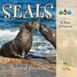 album image Killer Whales Underwater Communication, Group of Adults and Calves Feeding Sound Effects of the Sea