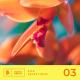 DUALIS feat. Barzek & Jethimself - Avalon (Original Mix)
