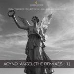 album image Angel (Project Soul Remix) Angel (The Remixes Pt. 1)