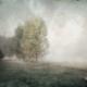 William Ryan Fritch - Emergent
