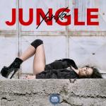 album image Jungle by Jungle