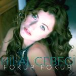 album image Fokur Fokur Fokur Fokur