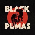 album image Fire Black Pumas