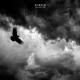 Shedir - Skyness