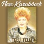 album image Sildim Seni Kalbimden Telli Telli